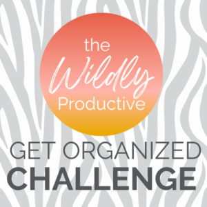Get Organized Challenge